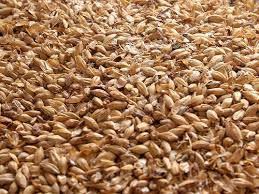 Grains Commonly Fed To Horses Barley