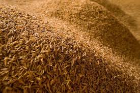 Grains Commonly Fed To Horses Rice