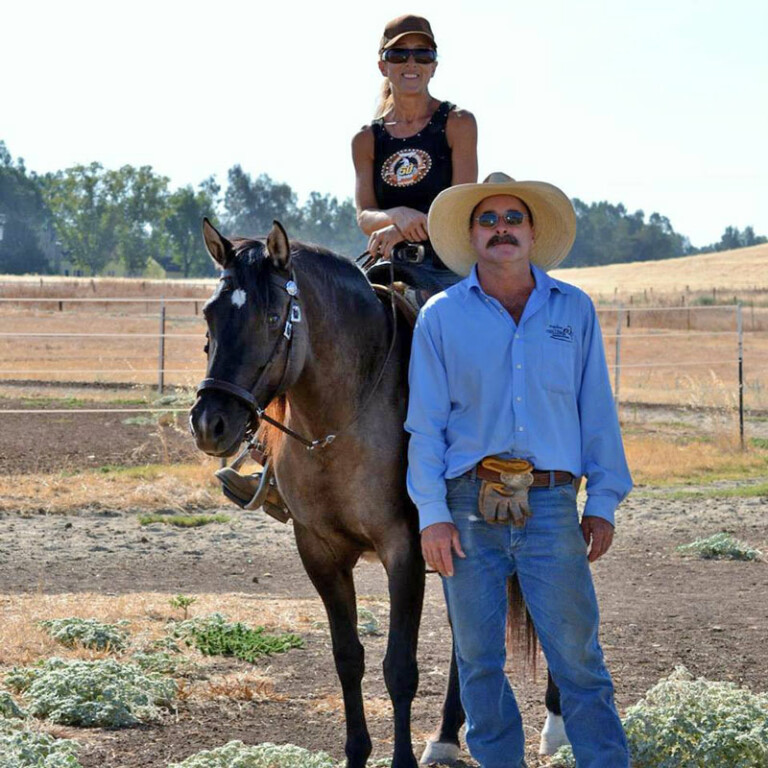 Equine Challenge Supplements