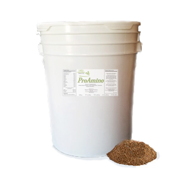 Amino Acid Supplements Horse Supplements & Equine Nutrition From