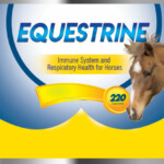 Equestrine Horse Respiratory Supplement