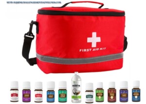 First Aid Kit For Horses