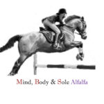 Mind, Body & Sole All-in-One Horse Ration Balancer for Alfalfa-Fed Horses MS-020624