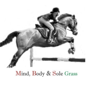 Mind, Body & Sole Grass Horse Supplement