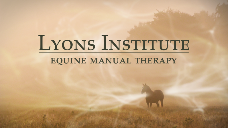 Lyons Institute Equine Manual Therapy