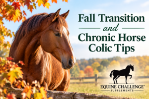 Fall Transition and Horse Colic