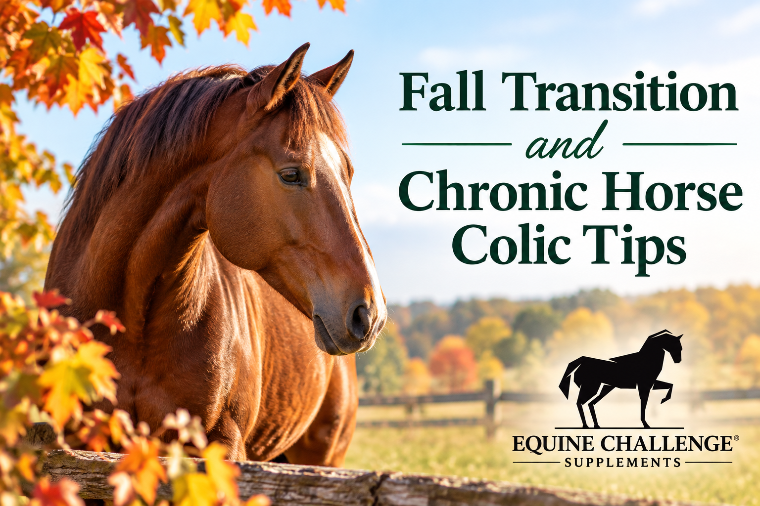 Fall Transition and Horse Colic