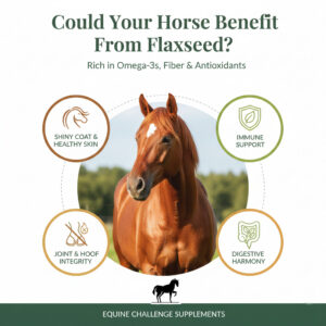 Flaxseed Benefits for Horses