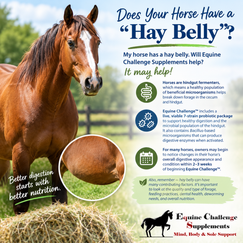 Signs of digestive upset in horses