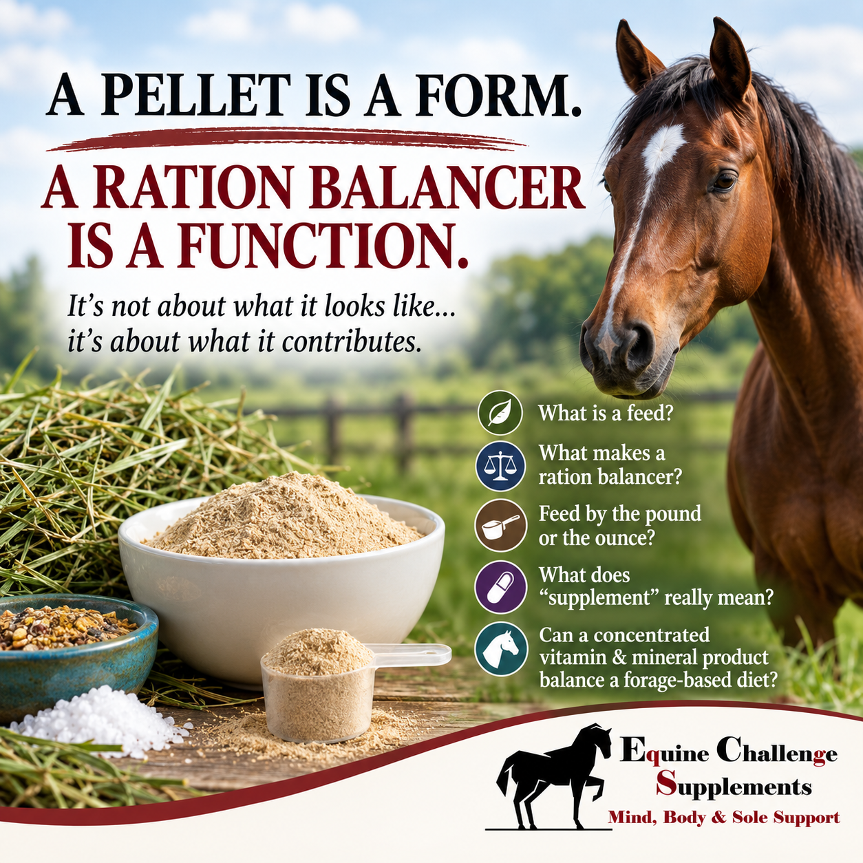 Horse Ration Balancers