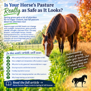 Horse Pasture Sugar Levels