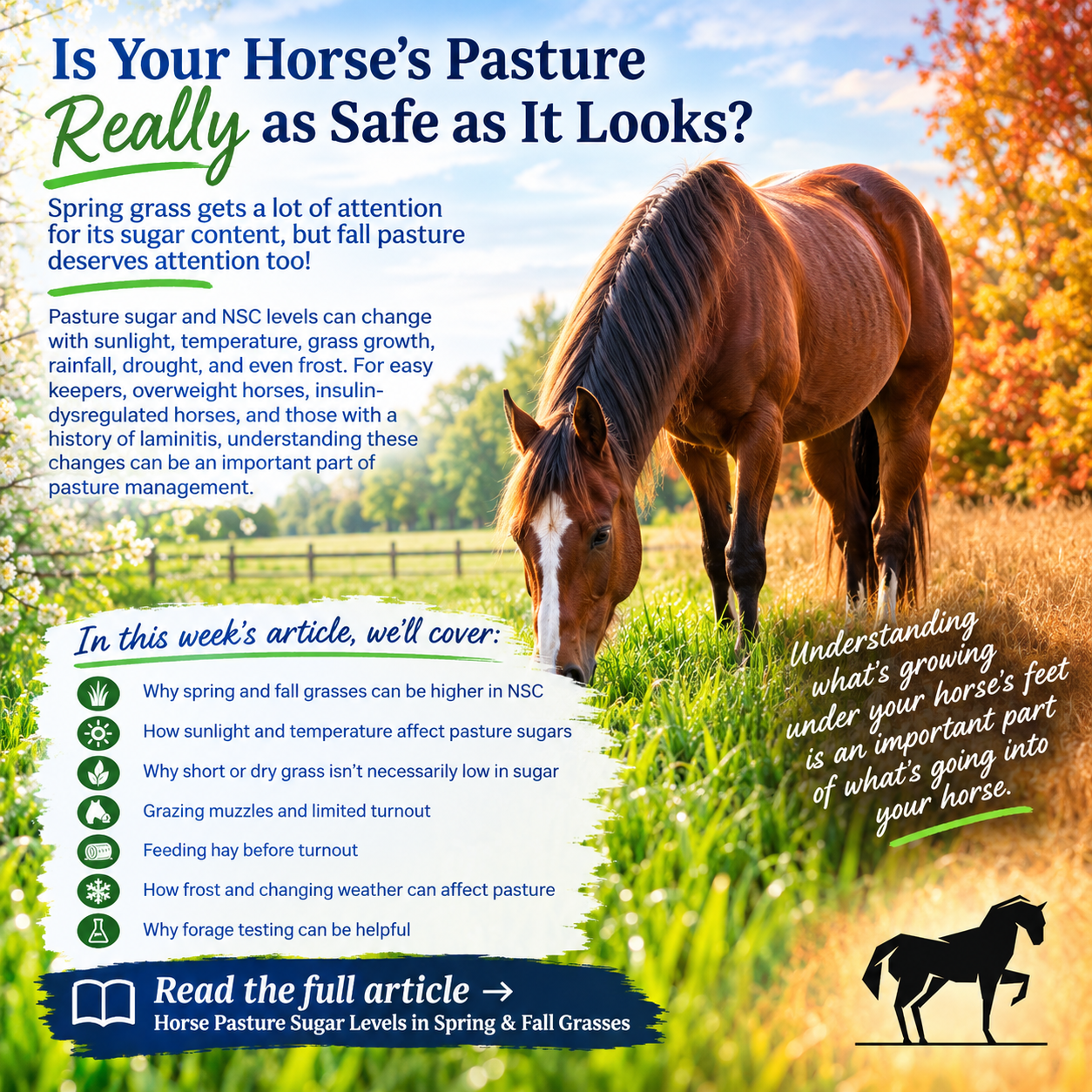 Horse Pasture Sugar Levels