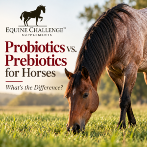 Probiotics vs Prebiotics For Horses