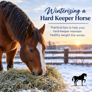 winterizing a hard keeper horse
